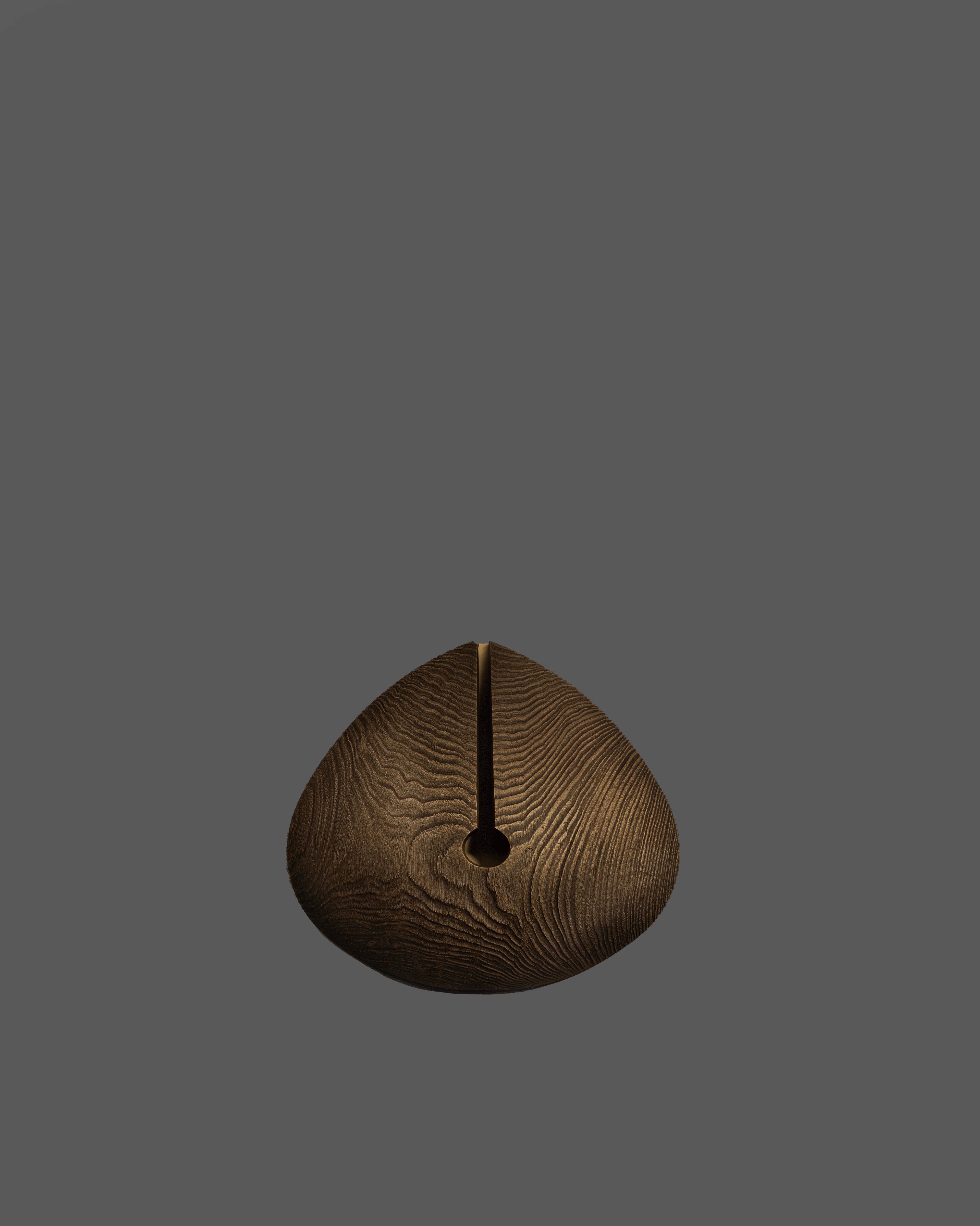 Lignum Sconce Sconce