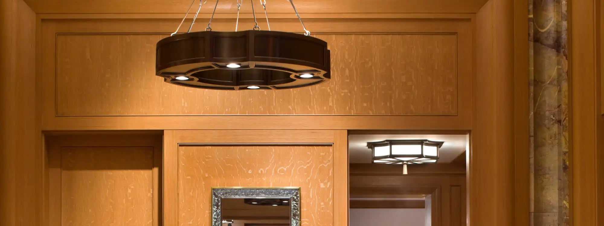 A circular, dark-colored chandelier with multiple downward-facing lights.